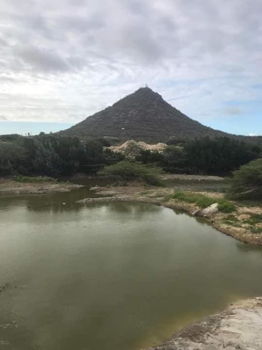 奥拉涅斯塔德Aruba Backpackers公寓 外观 照片