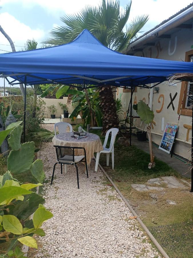 奥拉涅斯塔德Aruba Backpackers公寓 外观 照片